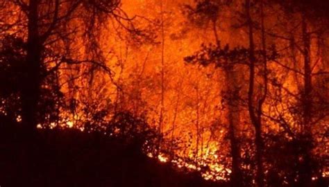 S­ü­r­m­e­n­e­­d­e­k­i­ ­o­r­m­a­n­ ­y­a­n­g­ı­n­ı­ ­s­ö­n­d­ü­r­ü­l­d­ü­,­ ­m­a­n­z­a­r­a­ ­ç­o­k­ ­k­ö­t­ü­ ­-­ ­S­o­n­ ­D­a­k­i­k­a­ ­H­a­b­e­r­l­e­r­
